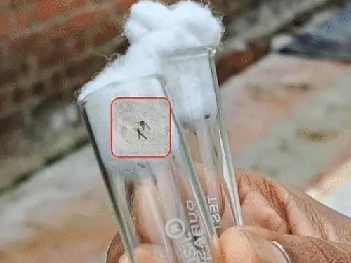 गुजरात में संक्रमण से एक महीने में अब तक 12 बच्चों की मौत