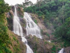 विशेष लेख : प्राकृतिक सौंदर्य, रोमांच और आध्यात्मिक आस्था का संगम: पर्यटन के क्षेत्र में नई पहचान बना रहा जशपुर