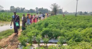 नक्सल प्रभावित क्षेत्र में समृद्धि की नई गाथा