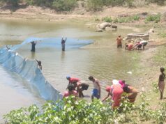 मत्स्य पालन बना ग्रामीण समृद्धि का सशक्त माध्यम