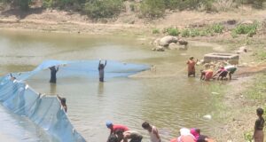 मत्स्य पालन बना ग्रामीण समृद्धि का सशक्त माध्यम
