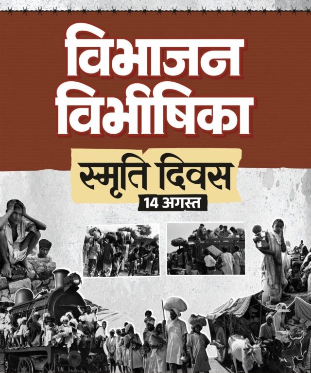 WhatsApp Image 2026-08-14 at 2.54.30 PM